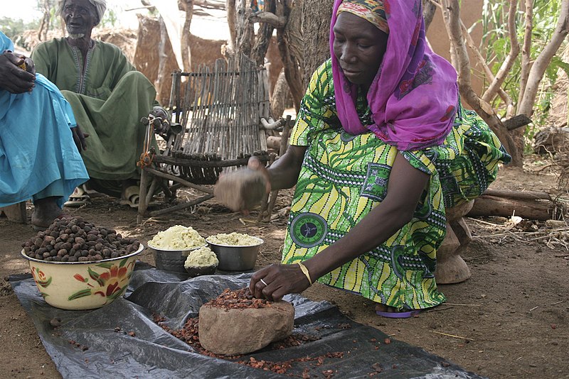 Shea Butter Unveiled: A Journey from Nut to Nourishment