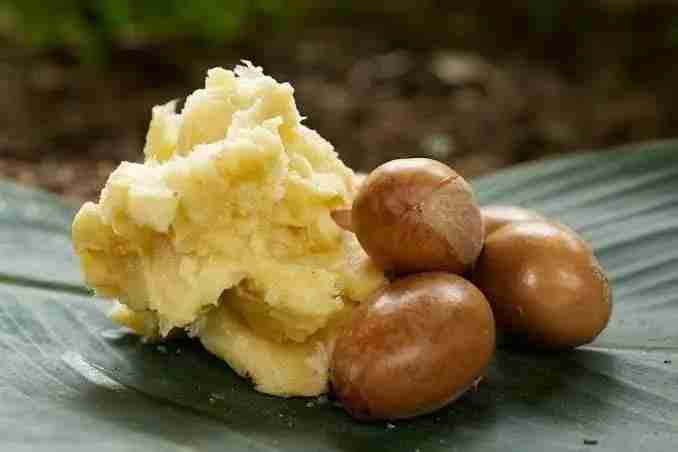 Raw Shea Butter for Hair: Unveiling Its Benefits, Growth Potential, and Haircare Wonders